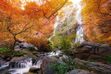 Khlong Lan şelalesinin renkleri Tayland yağmur ormanlarında güzel bir şelaledir.