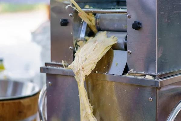 Gros Plan Bagasse Canne Sucre Les Déchets Fabrication Sucre — Photo