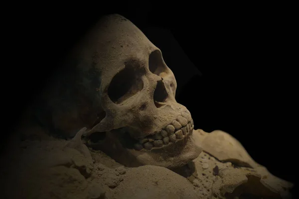 Cráneo Humano Con Fondo Oscuro Concepto Muerte Horror Anatomía Bodegón — Foto de Stock
