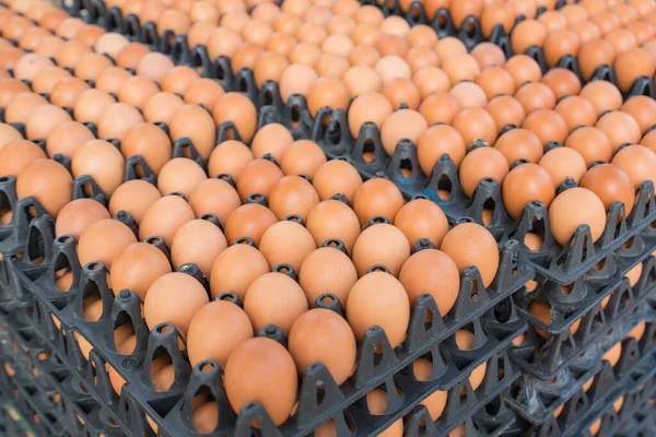 Frische Eier Schwarzen Plastiktabletts Zum Verkauf Auf Dem Markt Eiertafeln — Stockfoto