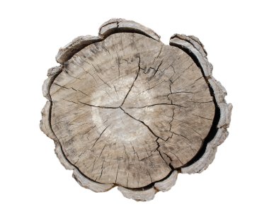 Beyaz arka plan üzerinde ağaç kütükleri ayır