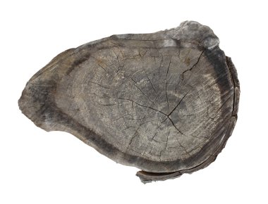 Beyaz arka plan üzerinde ağaç kütükleri ayır