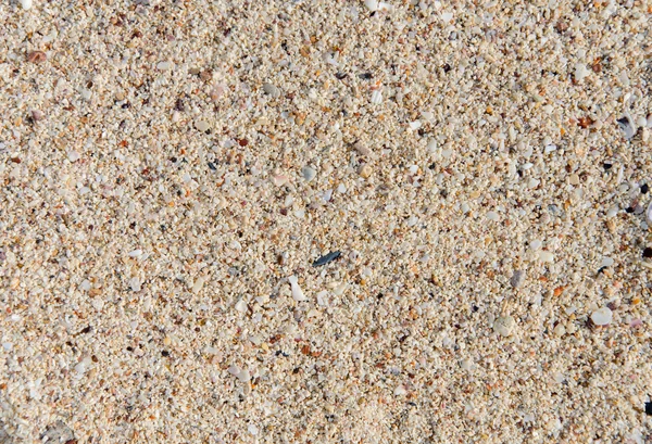 Sand on beach for background — Stock Photo, Image