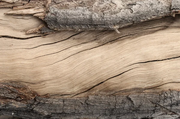 Frame of cracked wood texture for background — Stock Photo, Image