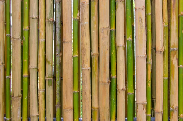Bamboo fence for background — Stock Photo, Image