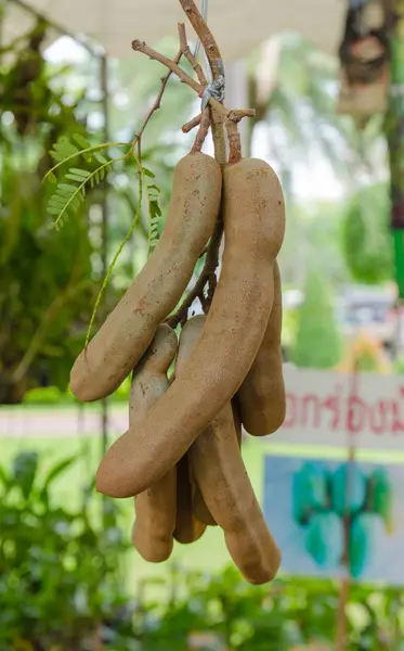 Süße Tamarinde hängt auf dem Markt — Stockfoto