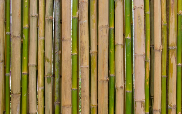 Cerca de bambu fundo textura padrão — Fotografia de Stock