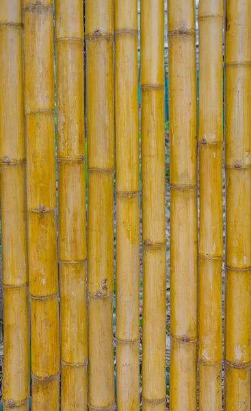 Bamboo fence for background — Stock Photo, Image