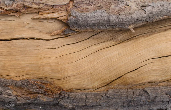 Struttura della struttura di legno incrinato per lo sfondo — Foto Stock