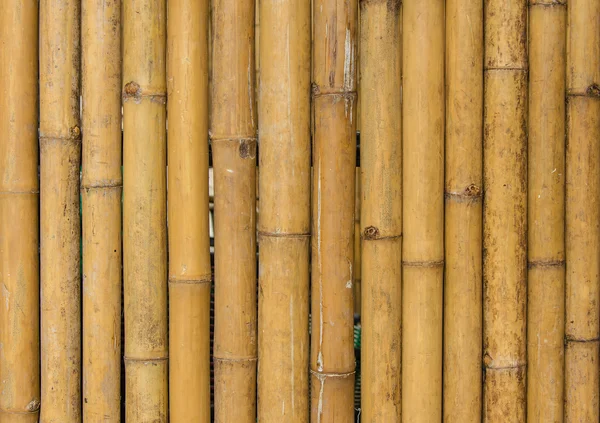 Clôture en bambou motif de texture de fond — Photo