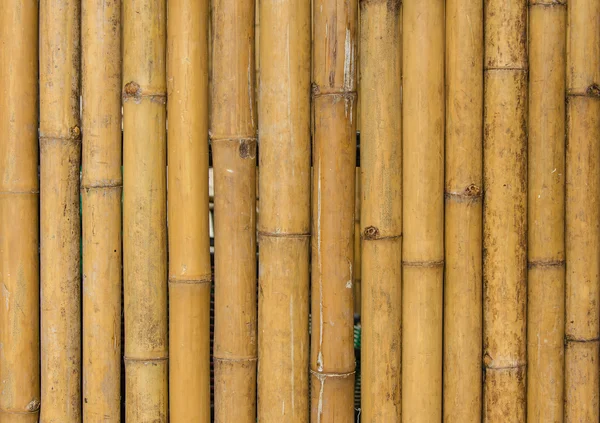 Cerca de bambu fundo textura padrão — Fotografia de Stock