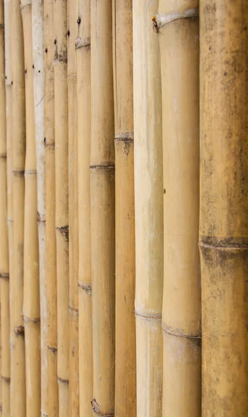 Cerca de bambu fundo textura padrão — Fotografia de Stock