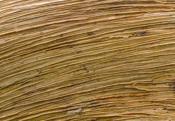 Textura del fondo del patrón de madera —  Fotos de Stock