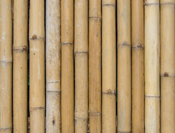 Bamboo fence background texture pattern — Stock Photo, Image