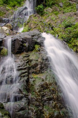 derin yağmur ormanları jungle şelale. Krak e dok şelale Serab