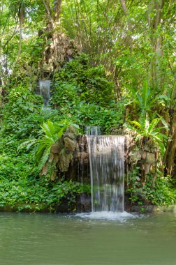 şelale derin yağmur ormanlarında