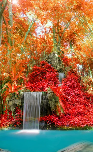 Чудовий водоспад і червоний аркуш у глибині лісу на Національний парк — стокове фото
