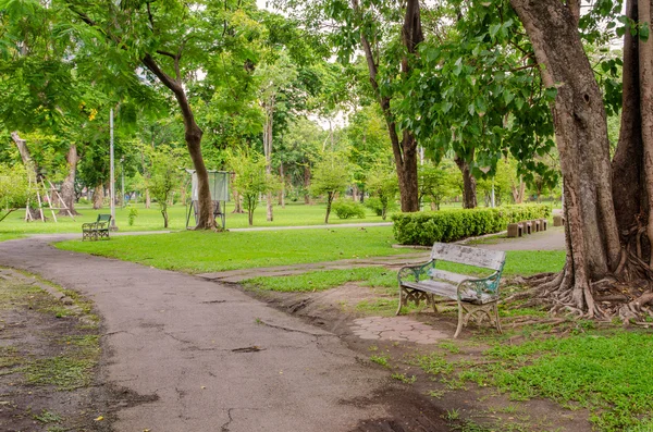 Скамейки в красивом зеленом парке — стоковое фото