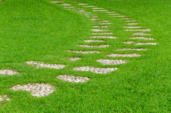 Gångväg på grönt gräs i parken — Stockfoto