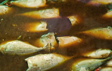 Komposto Uskumru balığı tuzlu çorba, Tayland yemekleri