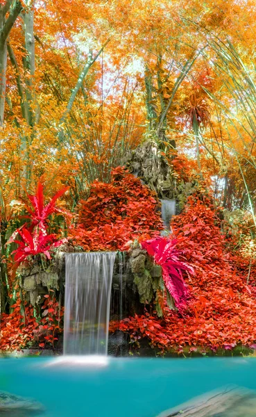 Harika şelale ve Milli Parkı, derin ormandaki kırmızı yaprak — Stok fotoğraf
