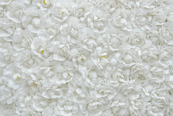 白花的面料，花卉背景 — 图库照片