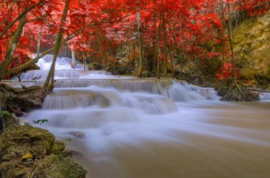 Derin yağmur ormanları orman şelale (Huay Mae Kamin Waterfall ben