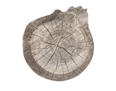 Beyaz arka plan üzerinde ağaç kütükleri ayır