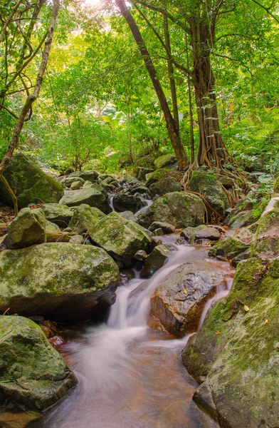 Wodospad w głębokich lasów tropikalnych dżungli. krok e dok wodospad sarab — Zdjęcie stockowe