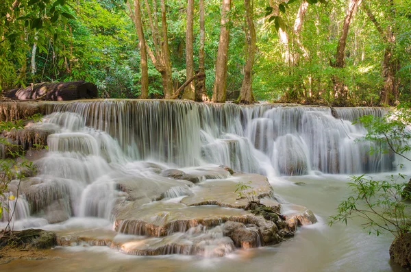 Cascata nella giungla della foresta pluviale profonda (Huay Mae Kamin Waterfall i — Foto Stock