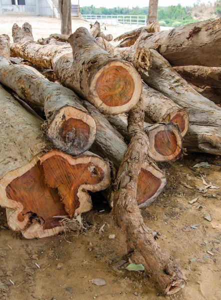 Rozenhout van brandhout logs — Stockfoto