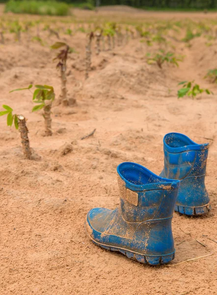 Pair of dirty boots covered in mud in cassava farm — Stock Photo, Image