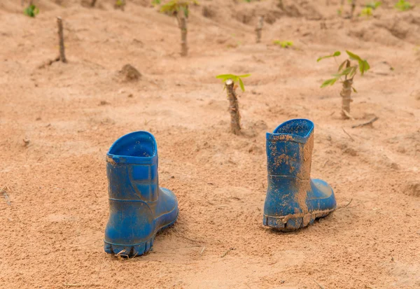 Pair of dirty boots covered in mud in cassava farm — Stock Photo, Image