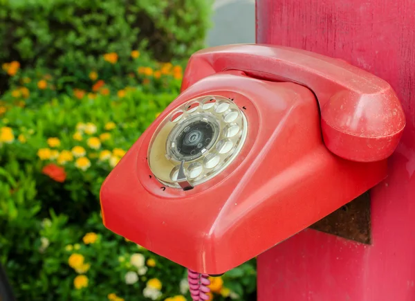 Old red phone vintage style on park