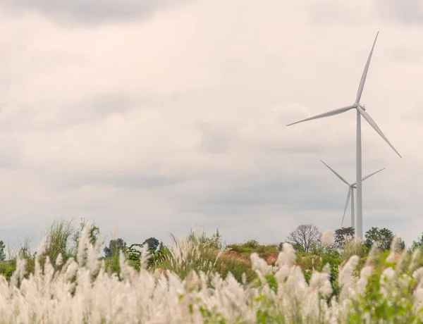 Ökostrom im Windkraftpark — Stockfoto