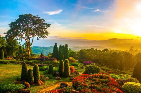 Belo jardim de flores coloridas na colina com o nascer do sol no Imagens De Bancos De Imagens Sem Royalties