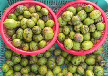 Myrabolan Wood (Terminalia bellirica) otlar Tayland pazarında