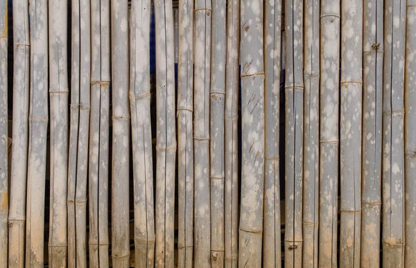 Cerca de bambú viejo para el fondo —  Fotos de Stock