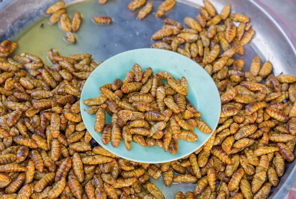 Gebratene Seidenraupe ist die Nahrung der Einheimischen — Stockfoto