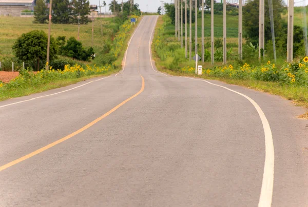 Country road with trees — Stock Photo, Image