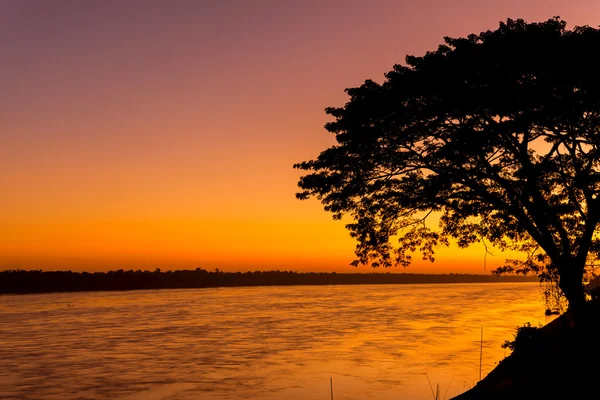 Beautiful sunrise out with silhouetted of tree at Mekong river, — Stock Photo, Image