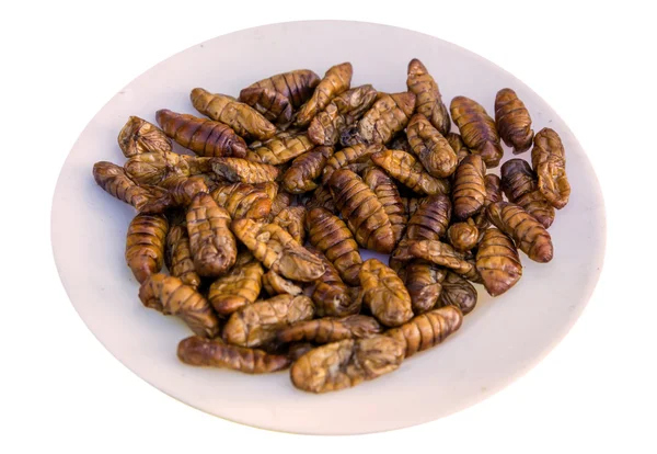 Fried silk worm is the food of the natives — Stock Photo, Image