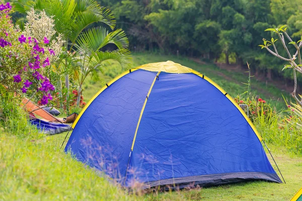 Tent and pavilion camping in campground at national park — Stock Photo, Image