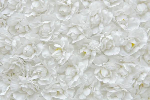 Biały kwiat tkaniny, kwiatowy tło — Zdjęcie stockowe