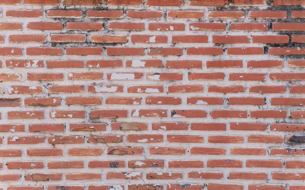 배경을 위한 붉은 벽돌 벽 질감 — 스톡 사진