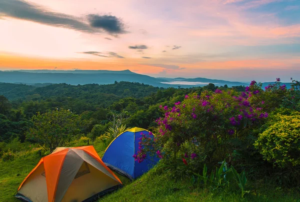 Tenda de acampamento no acampamento no parque nacional com nascer do sol — Fotografia de Stock