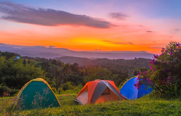 Tenda de acampamento no acampamento no parque nacional com nascer do sol — Fotografia de Stock