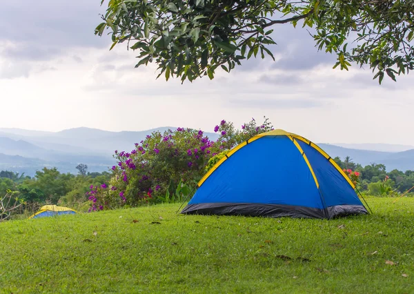 Camping tält i campingplats på national park med soluppgång — Stockfoto