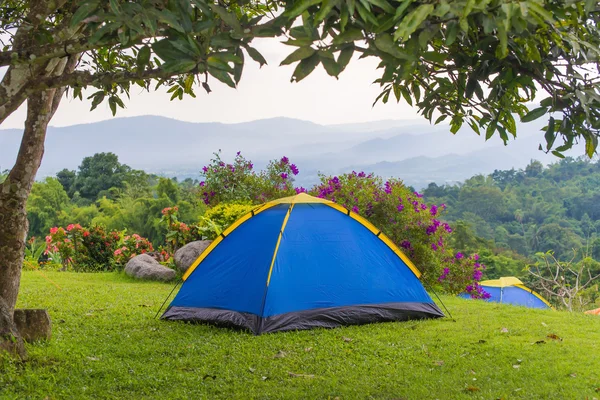 A nemzeti park kemping-kemping sátor. — Stock Fotó