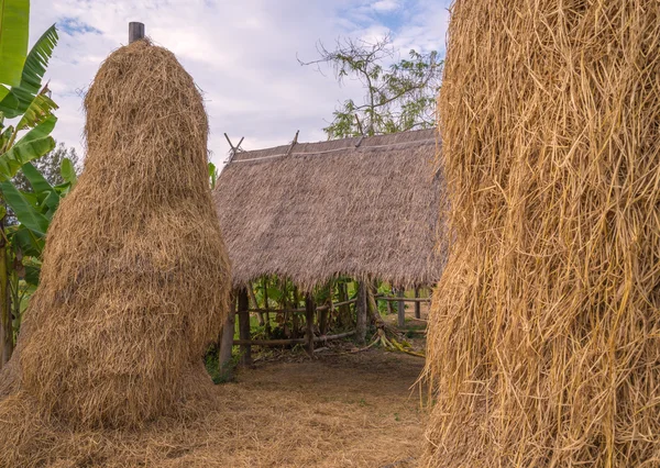 Montón de pacas de paja o heno en un paisaje rural —  Fotos de Stock